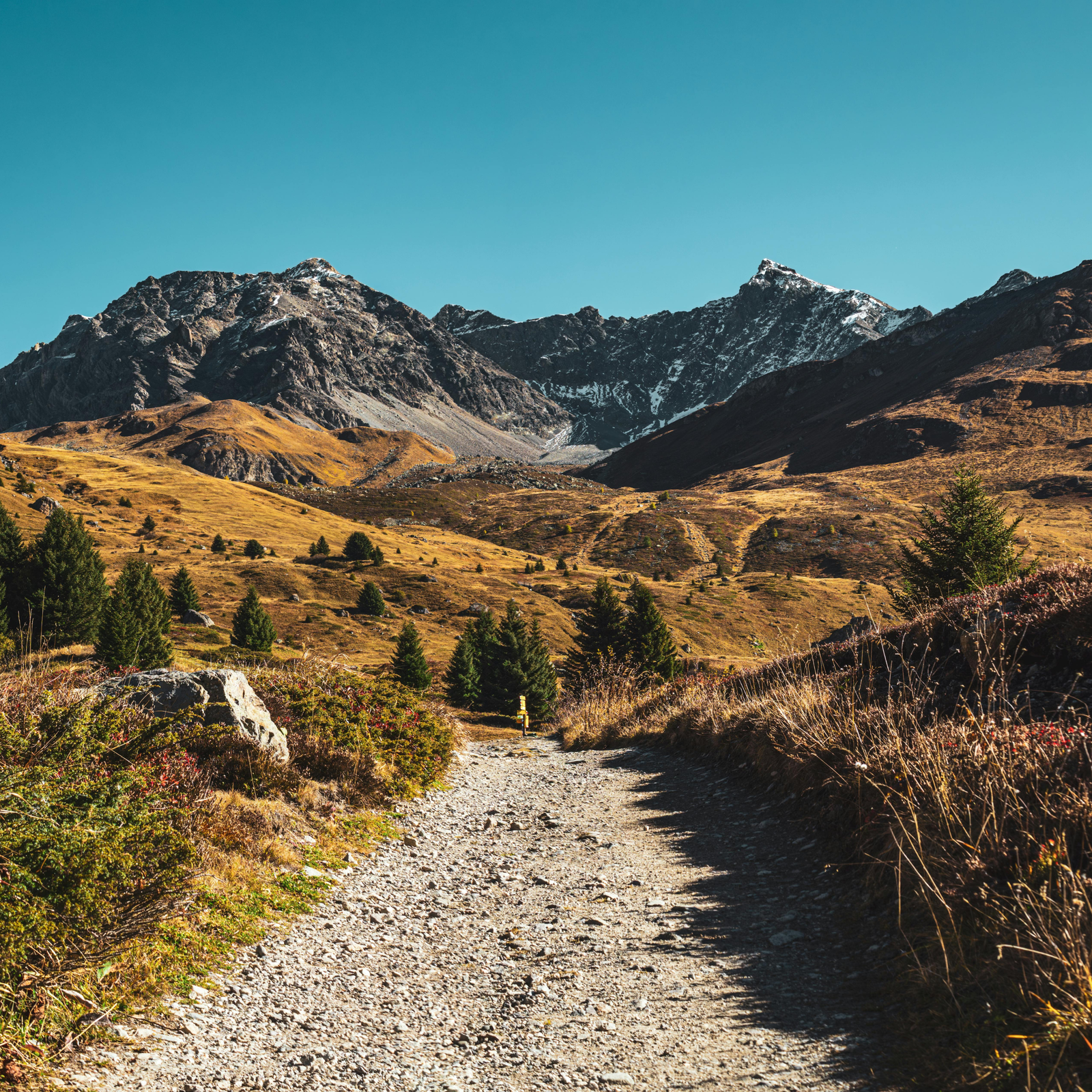 Backpacking 101: Routes for Every Level
