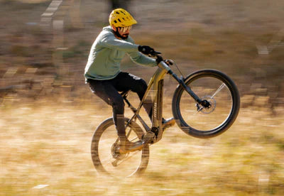 Mountain & All-Terrain eBikes