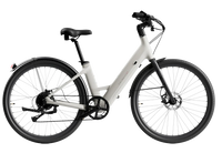 Carbon Classic ST