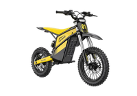 V1 Electric Dirt Bike