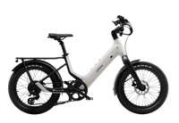 Carbon Joy Ultra (Low Handlebar)