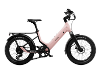 Carbon Joy Ultra (Low Handlebar)