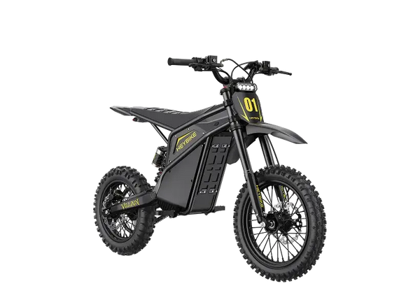 V1 Electric Dirt Bike