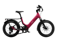 Carbon Joy Ultra (Low Handlebar)