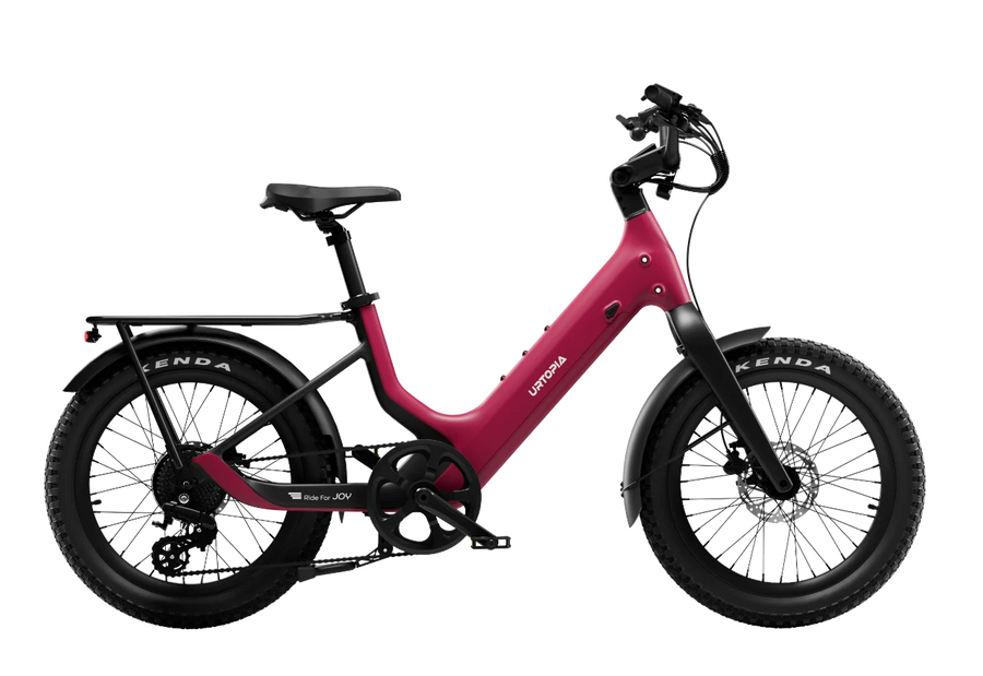 Carbon Joy Ultra (Low Handlebar)